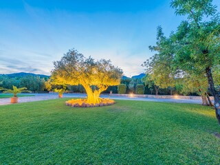 Villa Binissalem Buitenaudio-opname 22