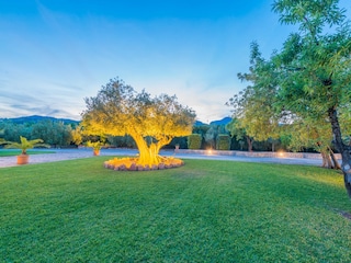 Villa Binissalem Outdoor Recording 22