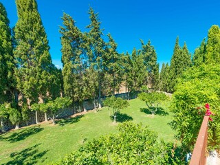 Tenuta Maria De La Salut Registrazione all'aperto 31