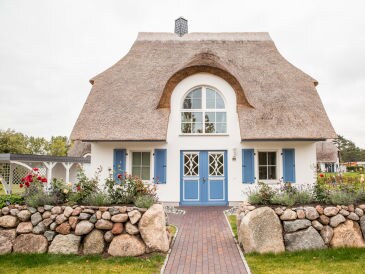 Ferienhaus Schilfrohrsänger 39