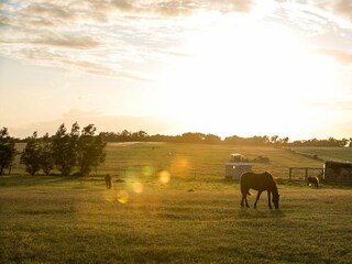 Ferienhaus Fuhlendorf Außenaufnahme 22