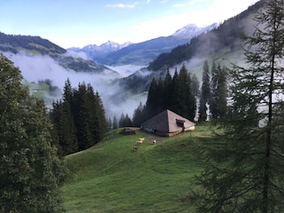 unterwegs auf die Iffigenalp (Blick zurück ins Tal)