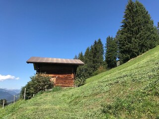 unterwegs auf den Bühlberg(Fabi)