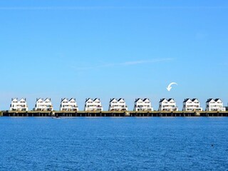 Ferienwohnung Olpenitz Außenaufnahme 19
