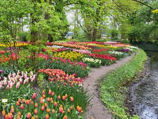 Casa de vacaciones Sint Maarten Entorno 33