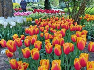 Casa de vacaciones Sint Maarten Entorno 31