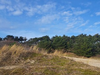 Casa de vacaciones Sint Maarten Entorno 39