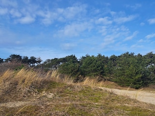 Maison de vacances Sint Maarten Environnement 39