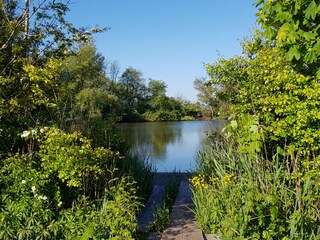 Casa de vacaciones Sint Maarten Grabación al aire libre 8