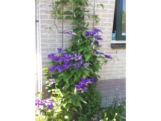 Casa per le vacanze Sint Maarten Registrazione all'aperto 7