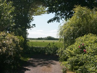 Casa de vacaciones Sint Maarten Entorno 29