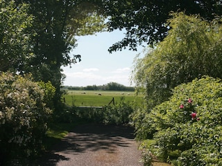Maison de vacances Sint Maarten Environnement 29