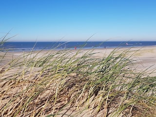 Maison de vacances Sint Maarten Environnement 30