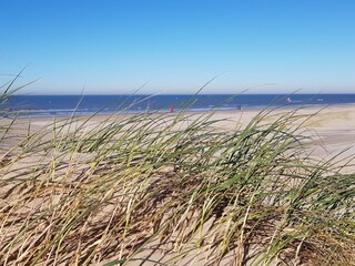 Vakantiehuis Sint Maarten Omgeving 27