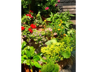 Appartamento per vacanze Goslar Registrazione all'aperto 3