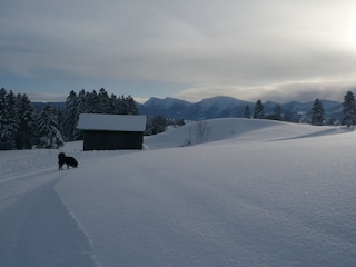Langlaufloipe beim Haus, mit Blick zum Hochgraht