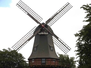 Schierbroker Windmühle