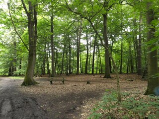 Delmenhorster Tiergarten