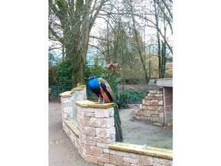 kostenloser Tierpark Bassum