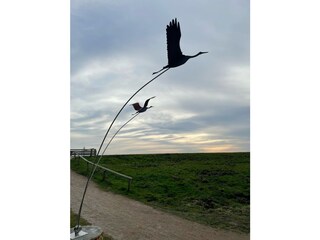Herbstzeit ist Kranichzeit