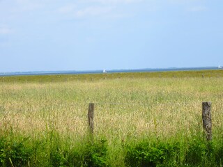 Vom Haus den Blick aufs Meer genießen