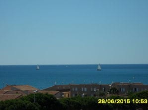 White Rabbit Oasis of Tranquility