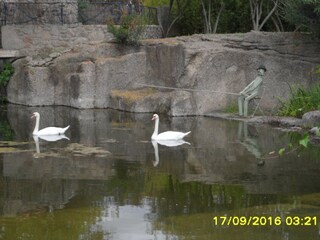 Appartamento per vacanze Saint-Pierre-la-Mer Ambiente 30