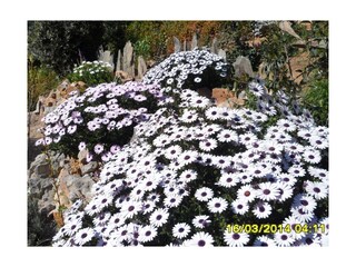 Vakantieappartement Saint-Pierre-la-Mer Buitenaudio-opname 7