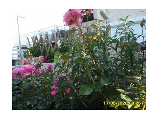 Appartamento per vacanze Saint-Pierre-la-Mer Registrazione all'aperto 3