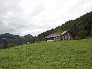 Vakantiehuis Hittisau Buitenaudio-opname 7