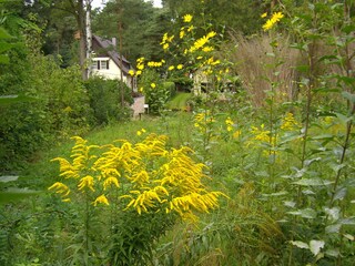 Ferienhaus Michendorf Außenaufnahme 6