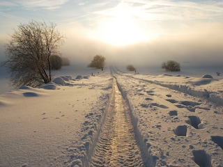 Spaziergang im Winter