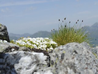 Appartamento per vacanze Schwendau Ambiente 28