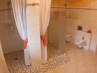 Appartamento per vacanze Schwendau Caratteristiche 24