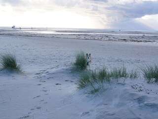 Nebler Strand