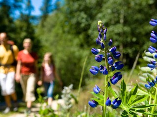 Appartamento per vacanze Partschins Ambiente 19