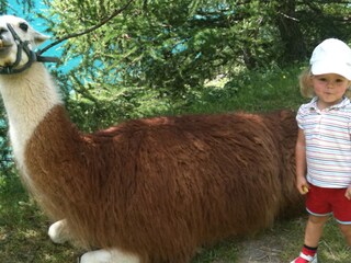 Appartamento per vacanze Partschins Ambiente 21