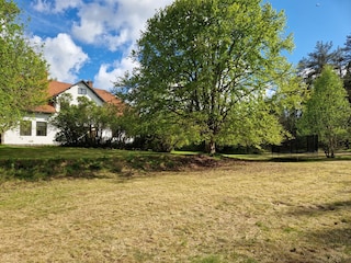 Riesiger Garten