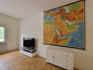 WZ mit 65 Zoll HD Smart TV