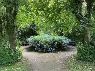 Ferienhaus Tating Umgebung 21