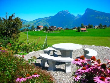 Holiday apartment "Mehlbaum"