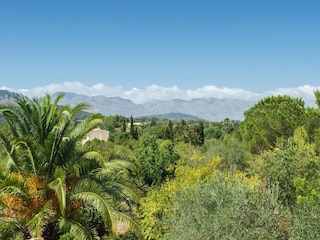 Cottage Pollensa Outdoor Recording 13