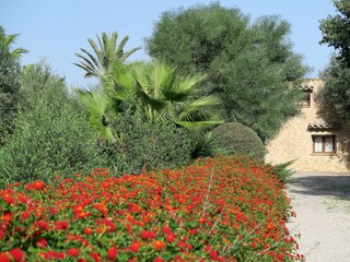 Cottage Pollensa Outdoor Recording 3