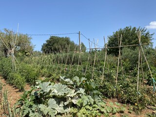 Casa de campo Pollensa Grabación al aire libre 8
