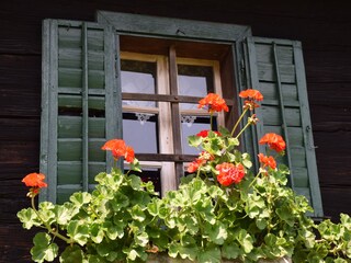 Casa per le vacanze Oberhaag Registrazione all'aperto 6