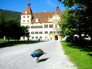 Casa per le vacanze Oberhaag Ambiente 32