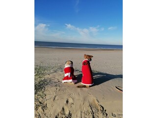 Casa per le vacanze Callantsoog Documento 43