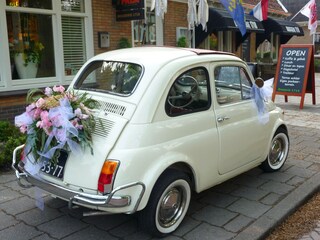 Vakantiehuis Callantsoog Omgeving 39