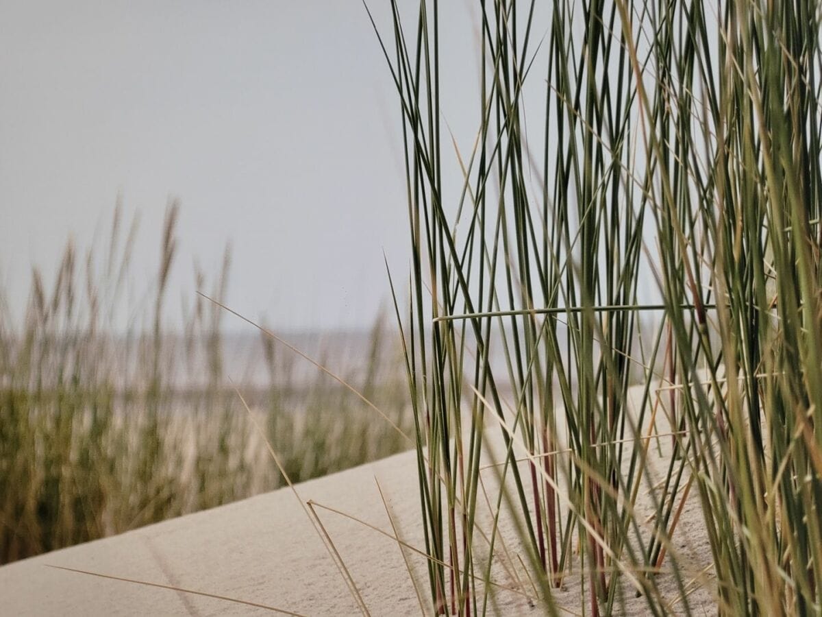 Ferienwohnung St. Peter-Ording Außenaufnahme 35