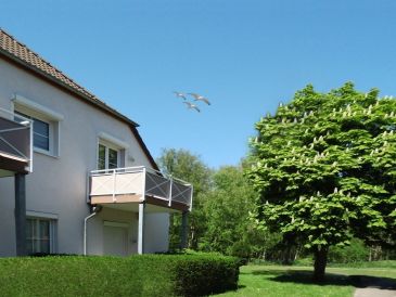 Holiday apartment Strandgut